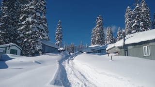 Sinekli Yaylası kara gömüldü