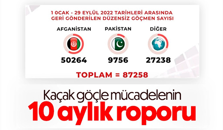 Sınır dışı edilen düzensiz göçmen sayısı açıklandı