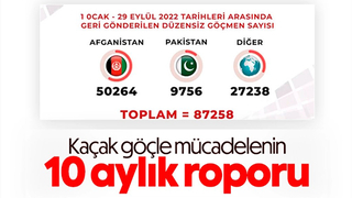 Sınır dışı edilen düzensiz göçmen sayısı açıklandı