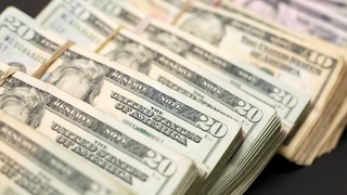 Şirketlerin döviz mevduatında artış