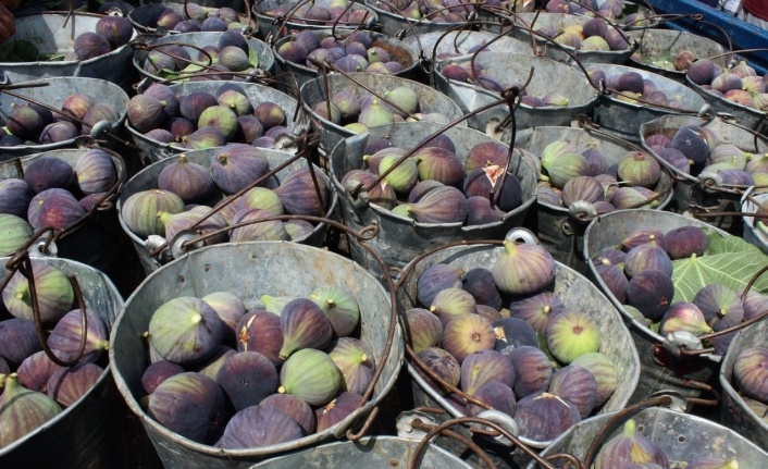 Siyah incir dalında 5, markette 40 lira