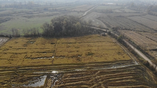 Siyah pirinç hasadına başlandı