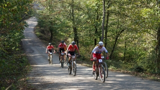 Şampiyonadan kareler