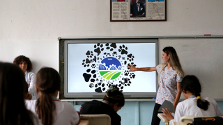 Sizi kuduz tehlikesinden uzaklaştıracak altın kurallar