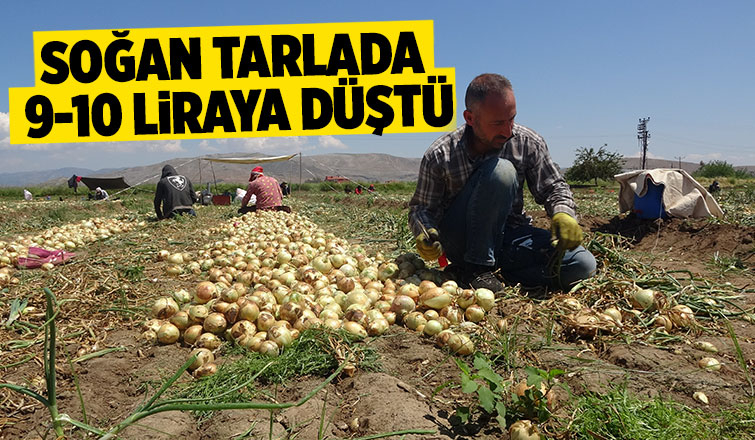 Soğan fiyatı düşüyor