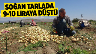 Soğan fiyatı düşüyor