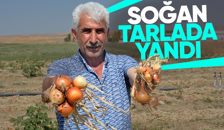 Soğanlar tarlada yandı