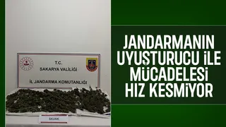 Söğütlü'de uyuşturucu baskını