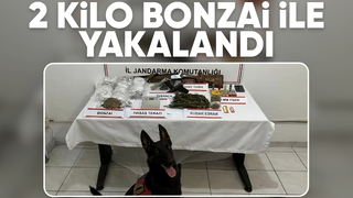 Söğütlü'de uyuşturucu operasyonu