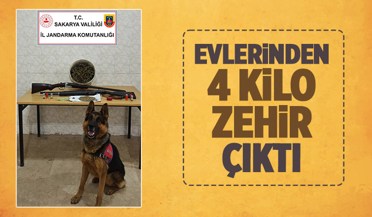 Söğütlü'de uyuşturucu operasyonu