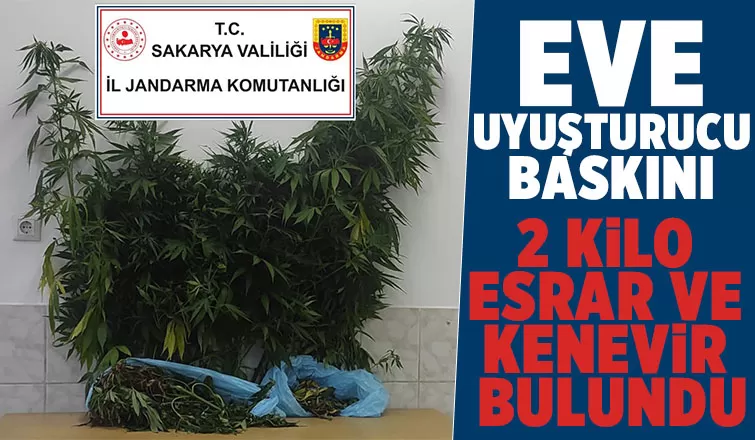 Söğütlü'de uyuşturucu operasyonu