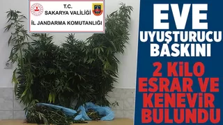 Söğütlü'de uyuşturucu operasyonu