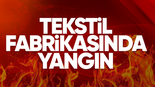 Söğütlü OSB'de yangın