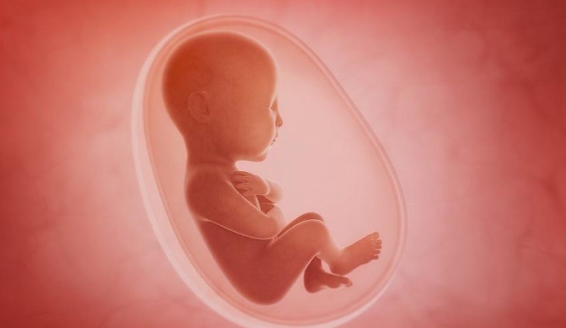 Şok anne karnında bile zehirleniyorlar