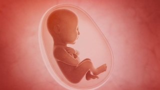 Şok anne karnında bile zehirleniyorlar