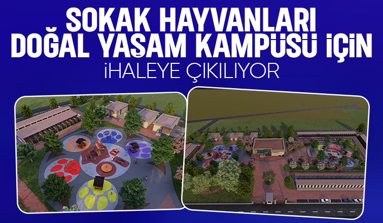 Sokak Hayvanları Doğal Yaşam Kampüsü ihaleye çıkıyor