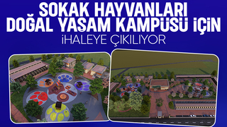 Sokak Hayvanları Doğal Yaşam Kampüsü ihaleye çıkıyor
