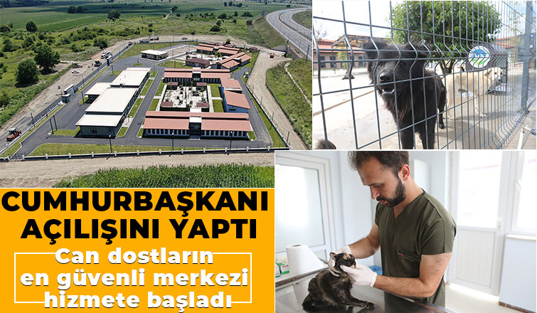 Sokak Hayvanları Hastanesi hizmete başladı