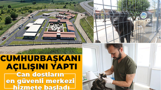 Sokak Hayvanları Hastanesi hizmete başladı