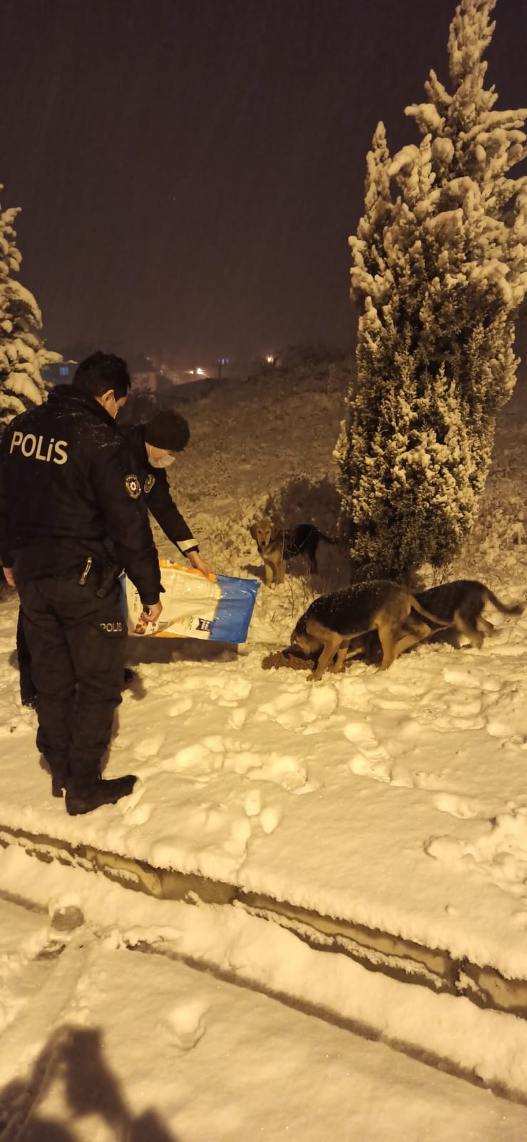 Sokak hayvanları unutulmadı