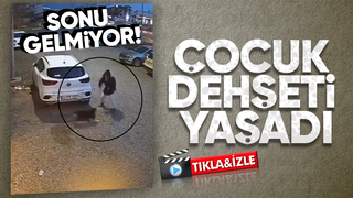 Sokak köpekleri çocuğa korku yaşattı