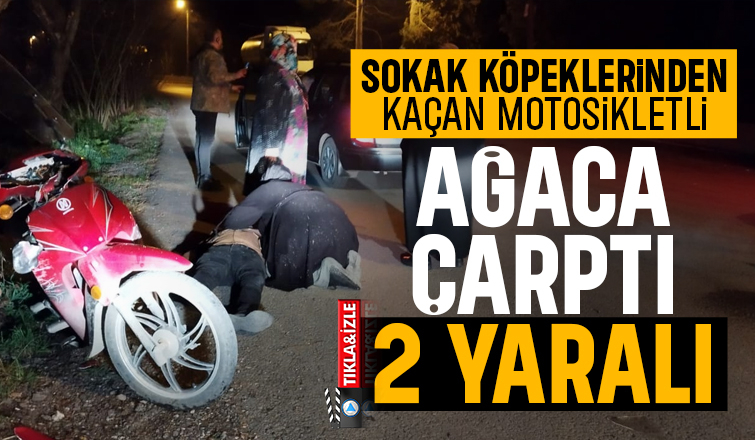 Sokak köpeklerinin kovaladığı motosikletli kaza yaptı. 2 yaralı