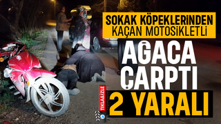 Sokak köpeklerinin kovaladığı motosikletli kaza yaptı. 2 yaralı