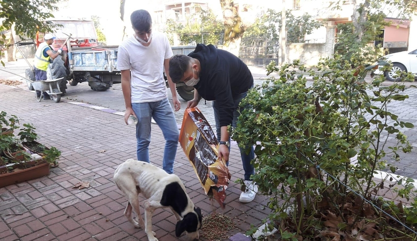 Sokak sokak gezip hayvanları besliyor