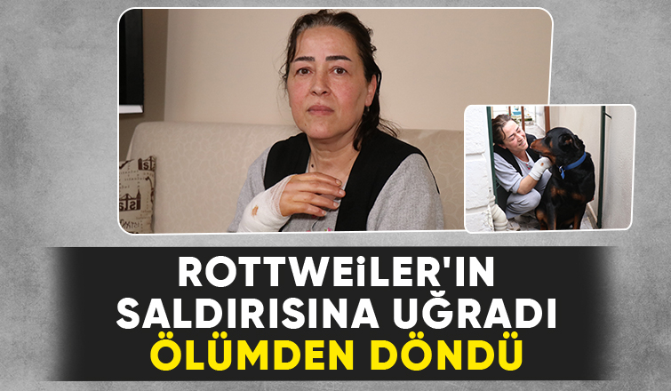 Sokakta köpeğin saldırısına uğradı