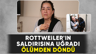 Sokakta köpeğin saldırısına uğradı