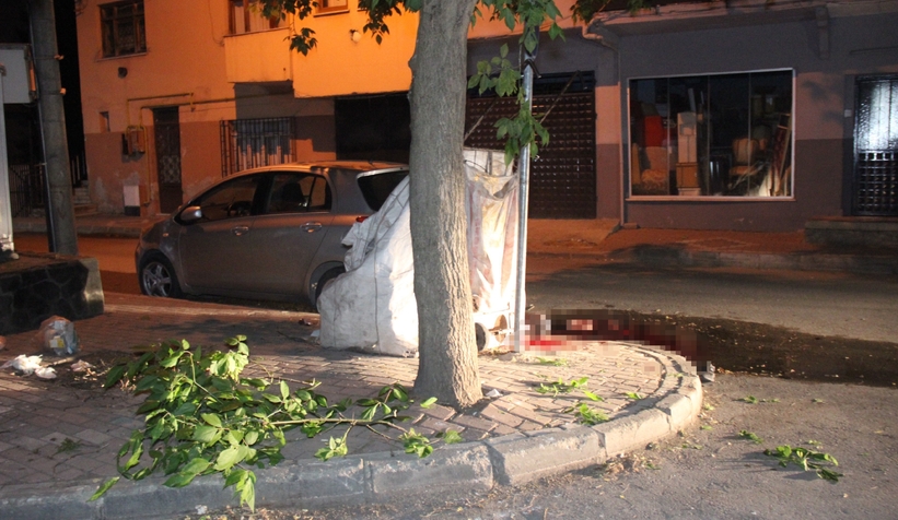 Sokakta tanımadığı adamı öldürüp, şizofrenim dedi, sağlam çıktı