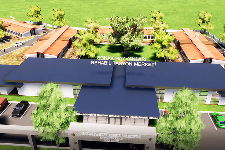 Sokakta yaşayan canlılara yuva olacak