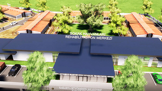 Sokakta yaşayan canlılara yuva olacak