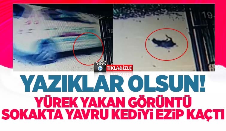Sokakta yavru kediyi ezip kaçtı