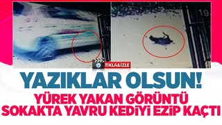 Sokakta yavru kediyi ezip kaçtı