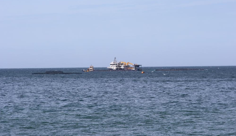 Somon kafesleri yırtıldı, oltasını alan koştu