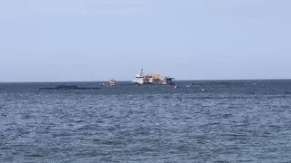 Somon kafesleri yırtıldı, oltasını alan koştu