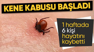 Son dönemde artan tehlike: Kene ısırması nedeniyle 6 kişi hayatını kaybetti