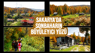 Sonbaharın büyüleyici yüzü