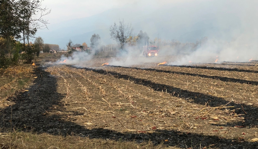 Sorumsuz çiftçi anız yaktı