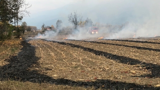Sorumsuz çiftçi anız yaktı