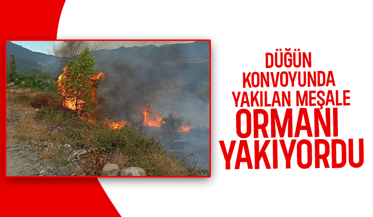 Sorumsuzlar az kalsın ormanı yakacaktı