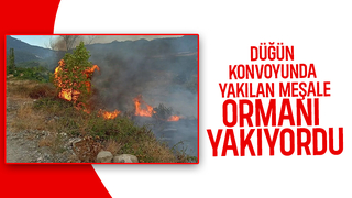 Sorumsuzlar az kalsın ormanı yakacaktı