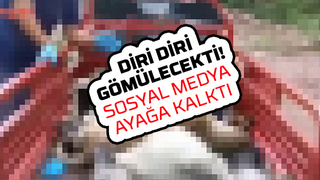 Sosyal medyayı ayağa kaldıran olay