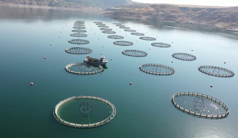  Su ürünleri ihracatından 1,7 milyar dolar gelir elde edildi