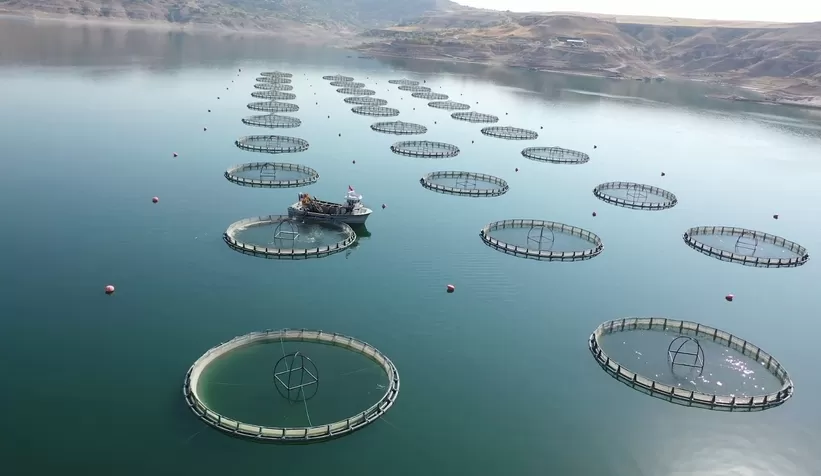  Su ürünleri ihracatından 1,7 milyar dolar gelir elde edildi