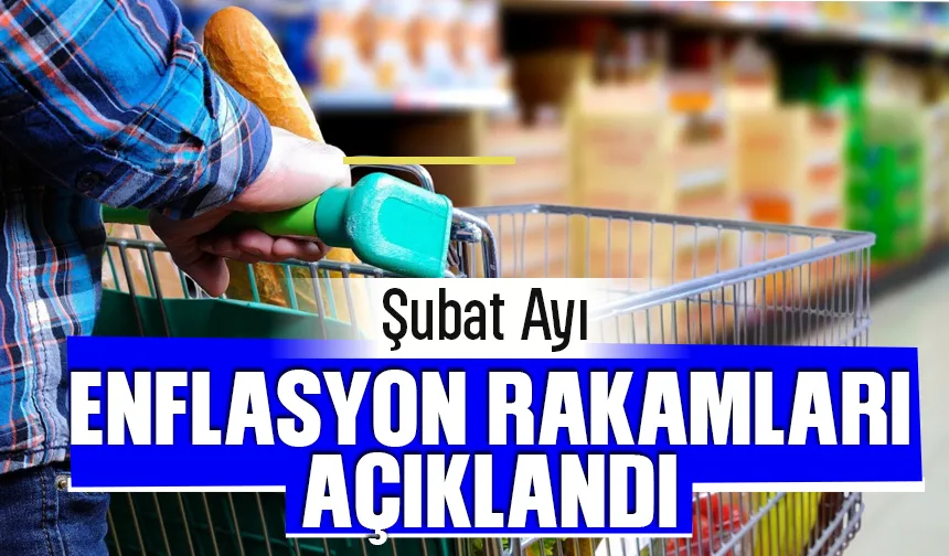Şubat ayı enflasyonu belli oldu