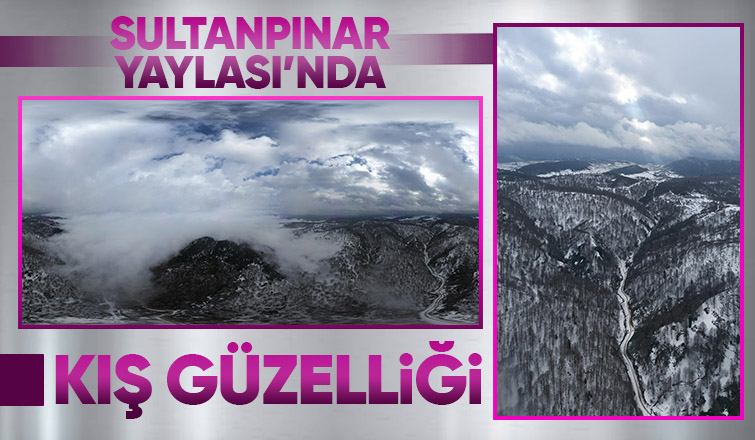 Sultanpınar Yaylası ndan kar fotoğrafları