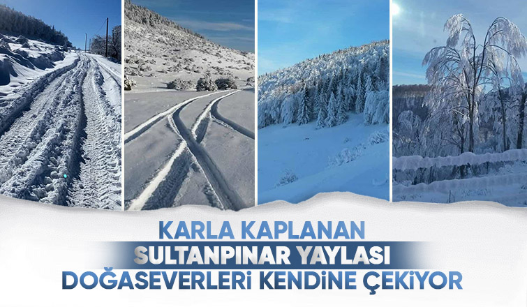 Sultanpınar Yaylasında kar kalınlığı 60 cm buldu