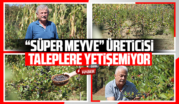 Süper meyve'nin kilosu 400 lira, talebe yetişemiyor